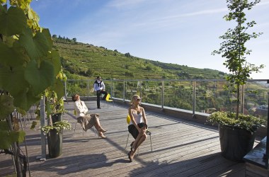 Convention Bureau Lower Austria, Steigenberger Krems, © Lois Lammerhuber